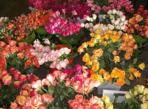 Flower Wholesalers