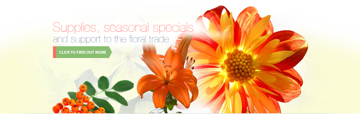 Florists Supply  Wholesale Flowers and Supplies in Canada
